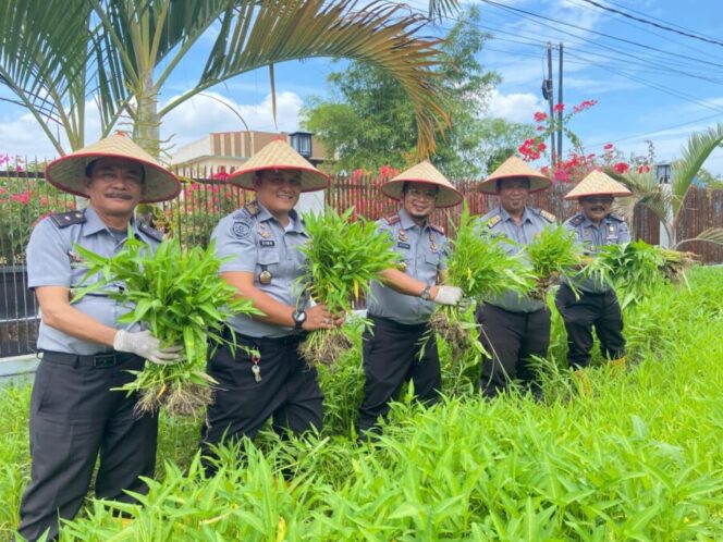 
 Dukung Program Ketahanan Pangan Lapas Labuhan Ruku Panen Sayur Kangkung