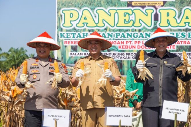 
 Dukung Ketahanan Pangan, Wabup Batu Bara Ikut Panen Raya Jagung untuk ke-2 Kalinya
