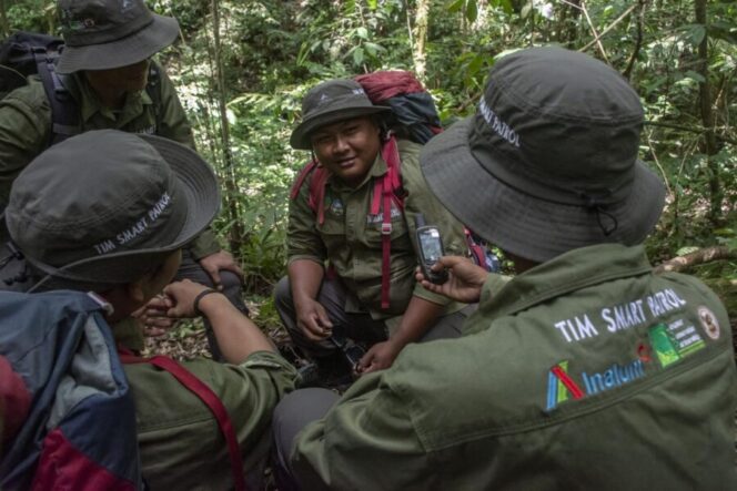 
 INALUM Dukung Patroli Hutan dan Edukasi Konservasi di Taman Nasional Gunung Leuser