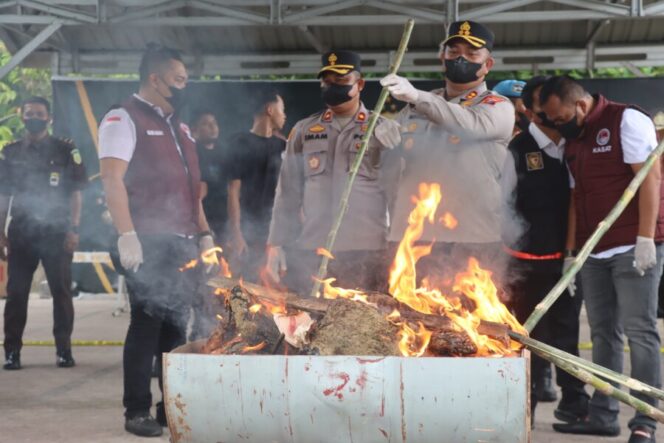 
 Polres Batu Bara Musnahkan 73 Kg Narkotika: Shabu, Ganja, dan Pil Ekstasi
