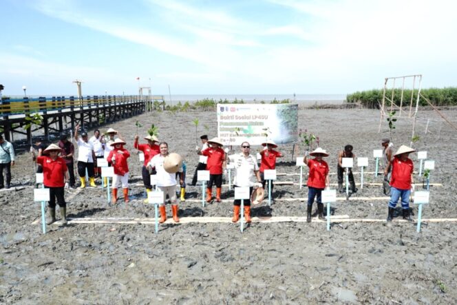 
 Bupati Baharuddin Sambut Masukan Senior, Tanam Mangrove untuk Masa Depan