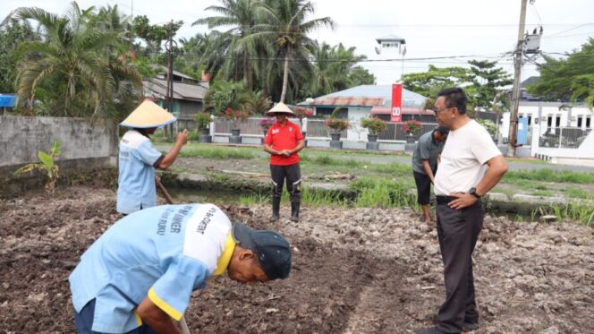 
 Dukung Ketahanan Pangan, Lapas Labuhan Ruku Kelola Lahan Baru