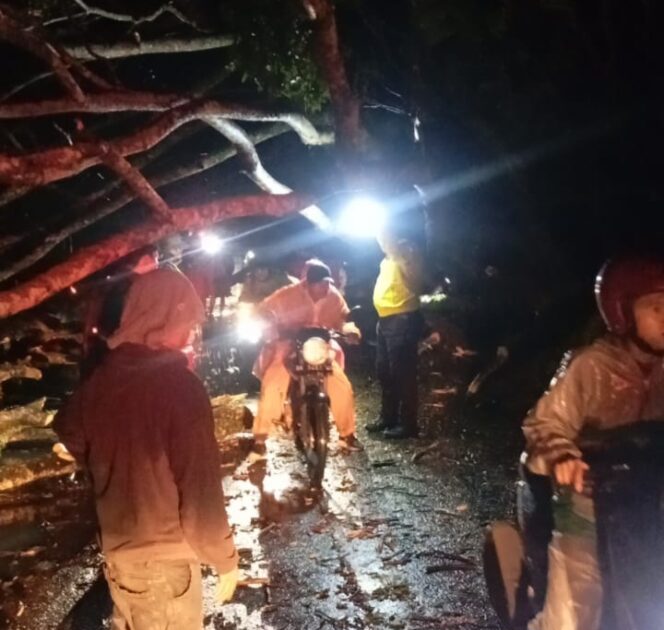 
 Polres Batu Bara Evakuasi Pohon Tumbang di Jalinsum, Lalin Kembali Lancar