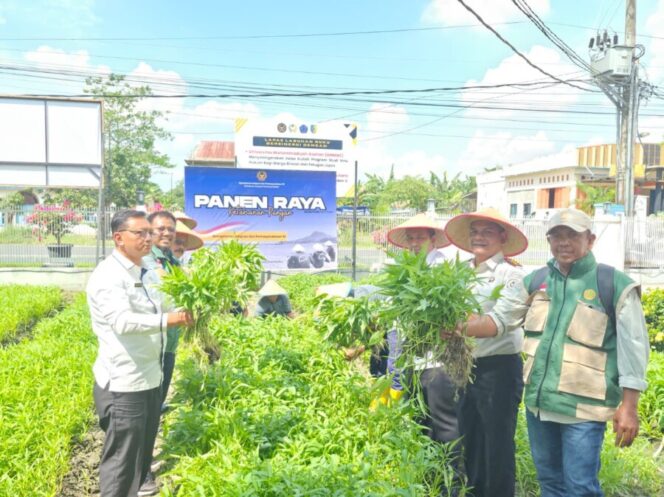 
 Panen Raya Serentak, Lapas Labuhan Ruku Tegaskan Komitmen Dukung Ketahanan Pangan Nasional 