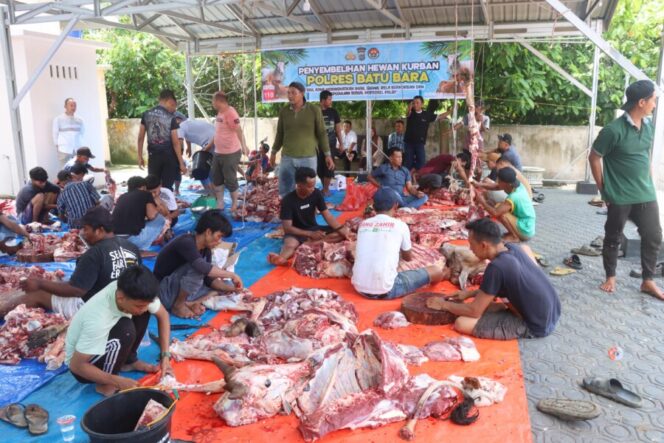 
 Polres Batu Bara Sembelih 17 Sapi dan 10 Kambing di Idul Adha 1447 H