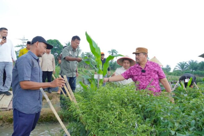 
 Bupati Batu Bara Targetkan Gambus Laut dan Lubuk Cuik Jadi Sentra Cabai Varietas Unggul