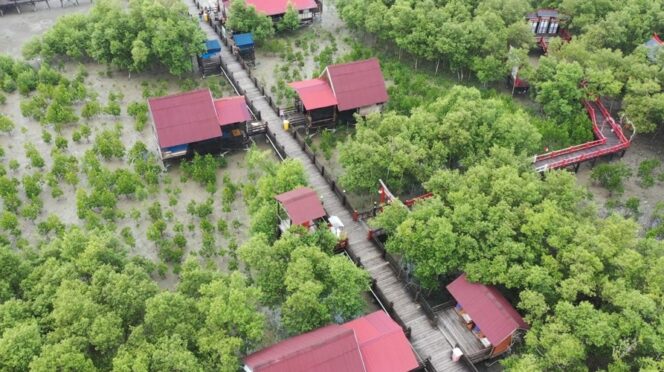
 INALUM Dorong Jurnalisme Lingkungan melalui IN-Journal Chapter II, Hadirkan 65 Karya Bertema Konservasi