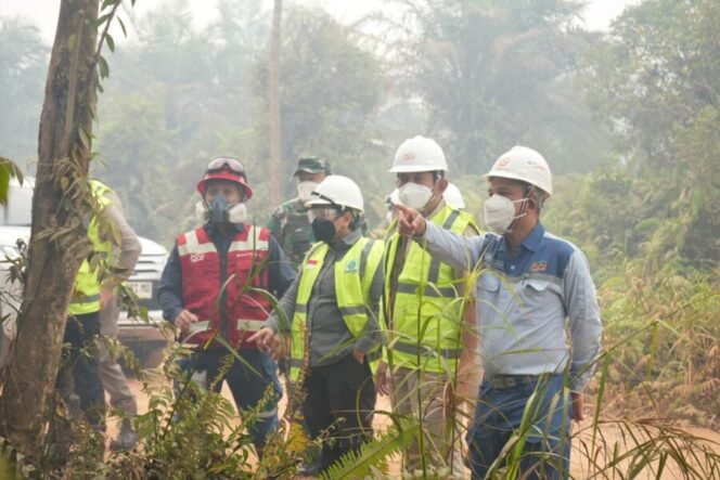 
 INALUM Perkuat Penanganan Karhutla di Mempawah, 60 Relawan MIND ID Diterjunkan